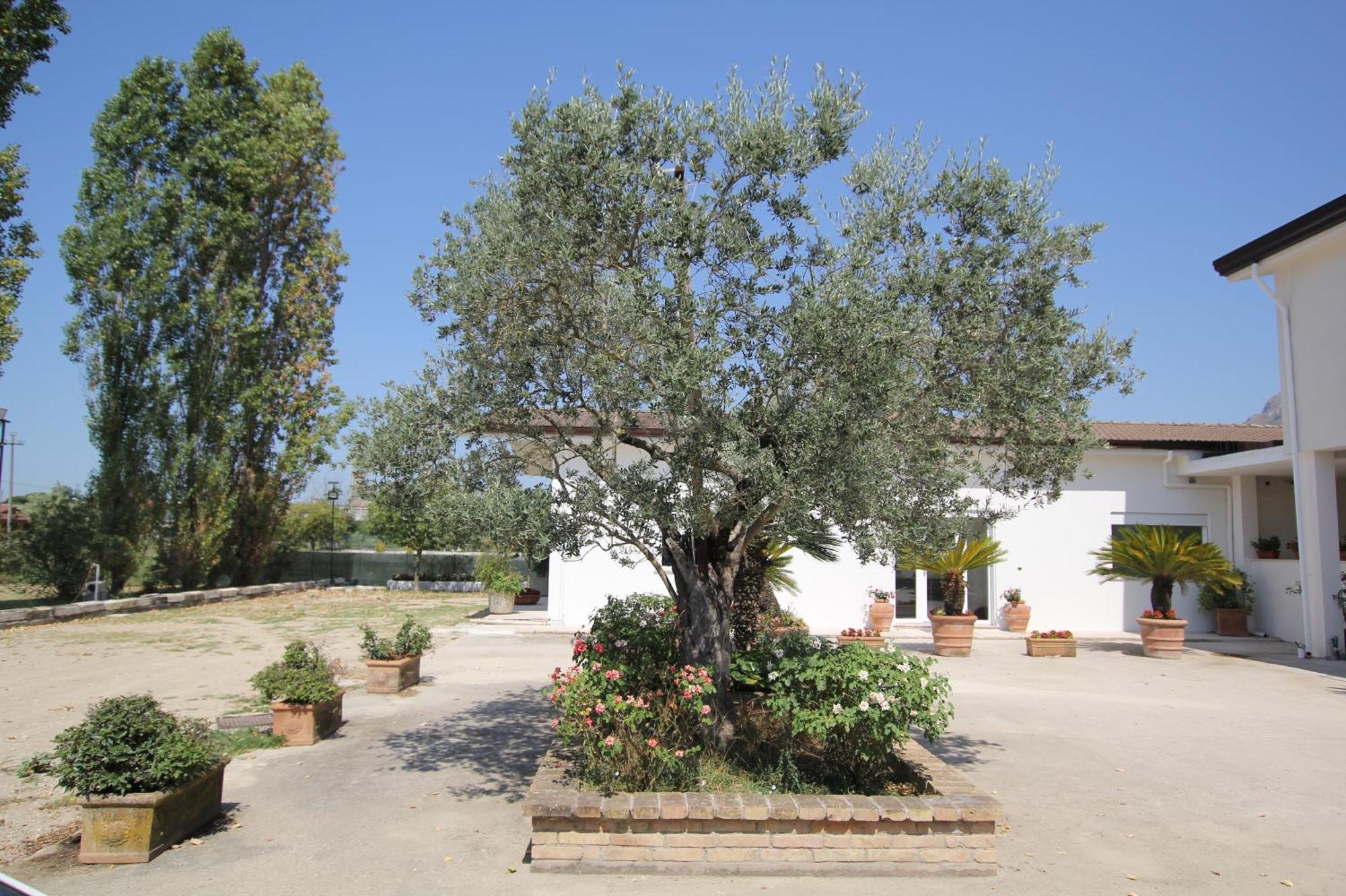 Villa Capodacqua Castrocielo Екстер'єр фото